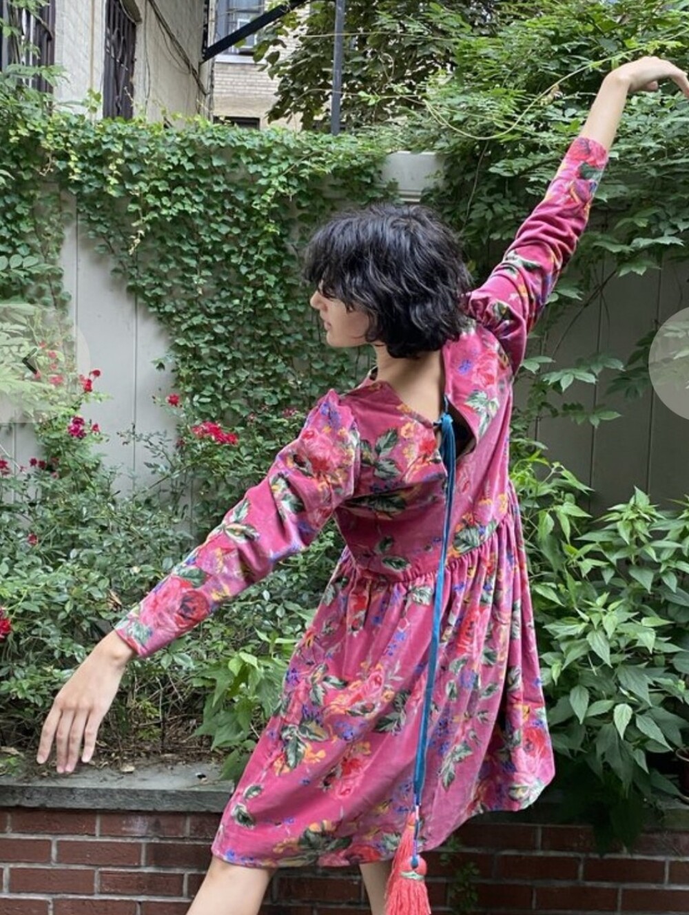 Alix of Bohemia Velvet Dress